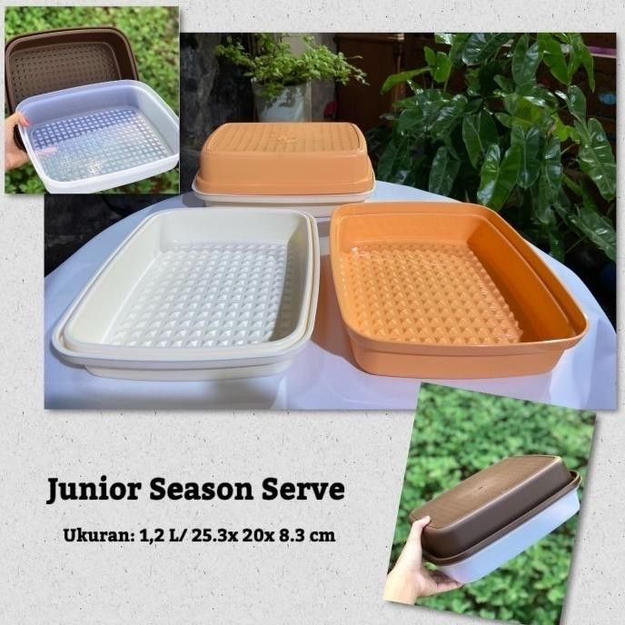 Produk Baru Tupperware Junior Season Serve ( Meat Saver ) Tempat Daging