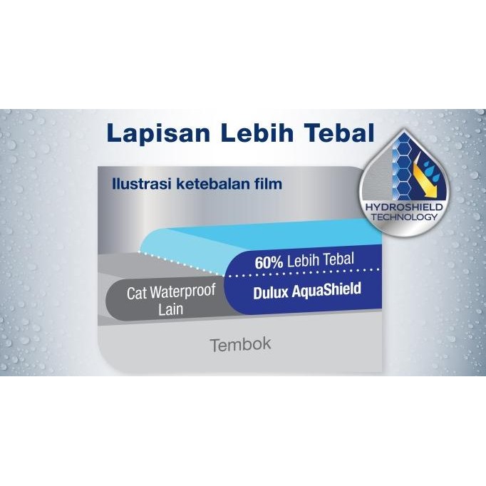 Dulux Aquashield 20 Kg Waterproof