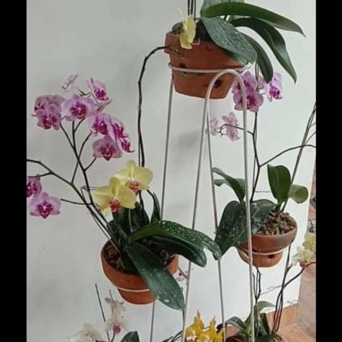 Rak pot tanaman besi bunga tanaman anggrek murah 6 susun lobang putih TD