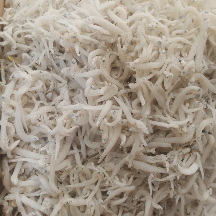 

IKAN ASIN TERI NASI MEDAN 1 KG FRESH