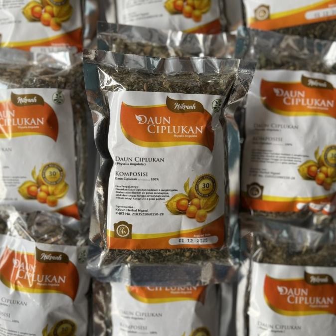 

Daun Ciplukan Kering 30Gram Kualitas Terbaik