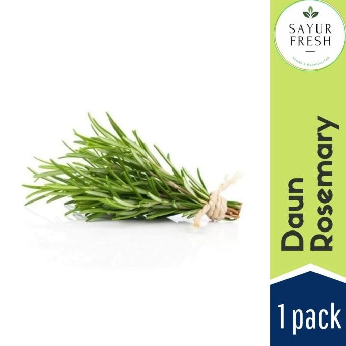 

daun rosemary segar / rosemary leaves