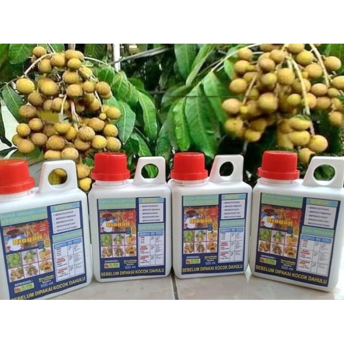 PREMIUM POC BIOGAN UNTUK TANAMAN BUAH KELENGKENG ml