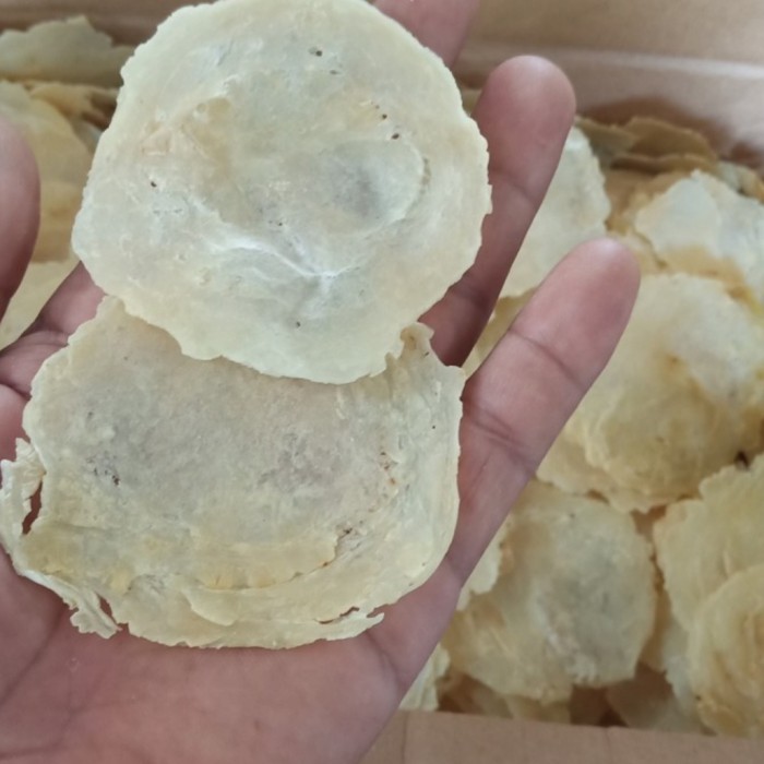 

EMPING MELINJO MENTAH 1 DUS 5 KG