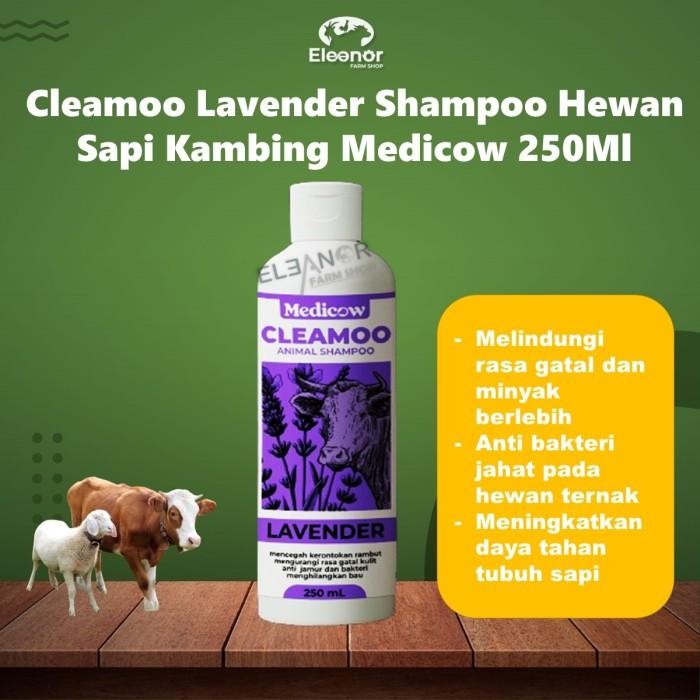 

Cleamoo Lavender Shampoo Ternak Sapi Kambing Domba Medicow 250Ml Tanaman
