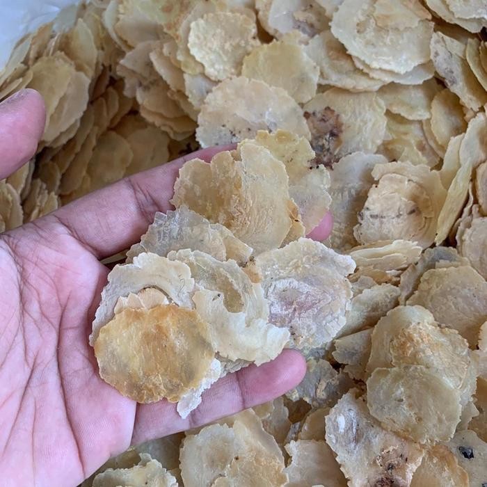 

Terbaru Emping Melinjo Sp Kecil Sortir Grade B 5kg - Makanan Ringan Khas Limpung - Kering, Cemilan,