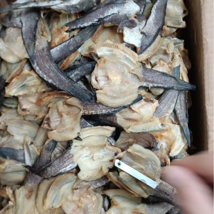 

Terbaru Gabus Asin Vakum 250-500 Gram Ready