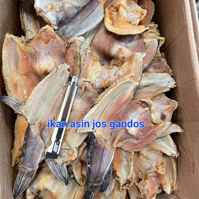 

IKAN ASIN GABUS KOLAMAN 1 KG