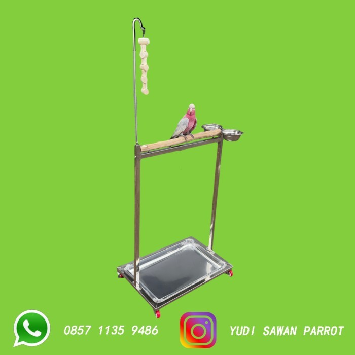 TANGKRINGAN PANGKRINGAN KANDANG BURUNG KAKATUA MACAW BAYAN AFGREY NURI KODE 1099