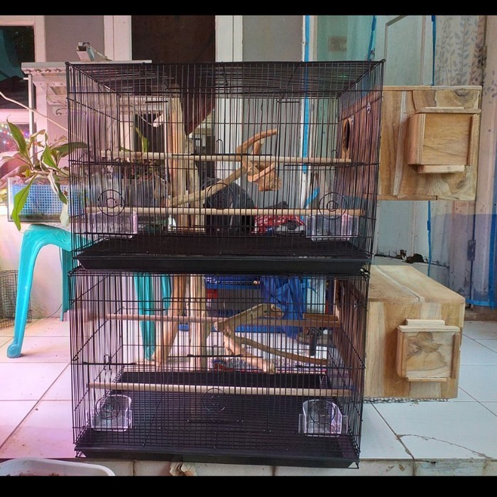 KANDANG SANGKAR TERNAK BREEDING BESI UNTUK LOVEBIRD FULLSET LARGE KODE 1066