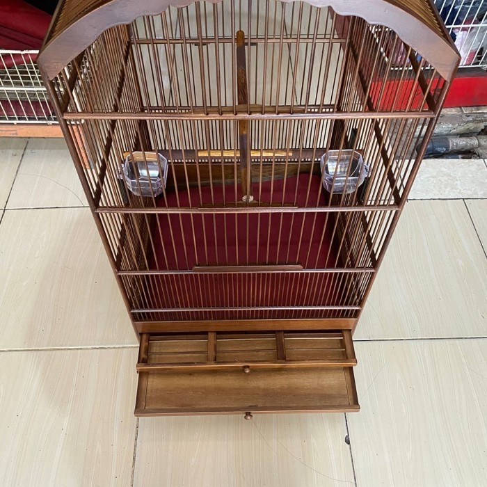 Sale Terbatas Sangkar Kandang Burung Pentet Kosan Jati Cms Coklat Dof Aman