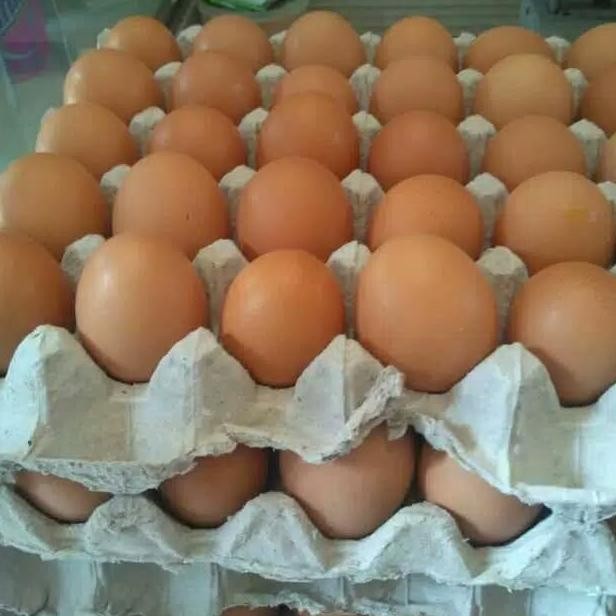 

READY TELUR AYAM / TELOR AYAM SATU TRAY ISI 30 BUTIR