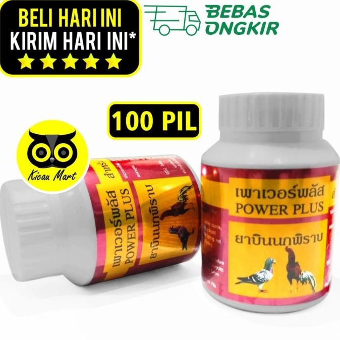 

READY POWER PLUS VITAMIN JAMU AYAM JAGO TARUNG BURUNG MERPATI DOPING PWRPLS