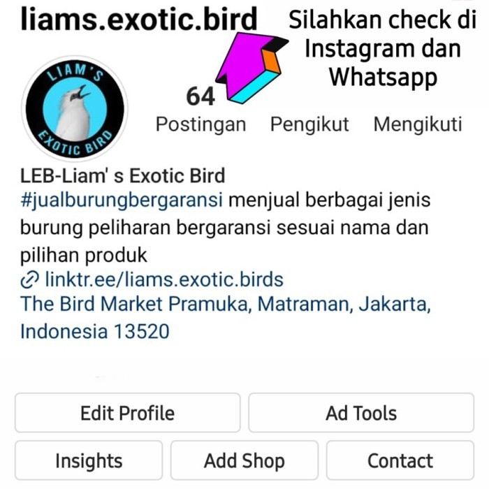 Burung Pleci Bustomi Voer Total