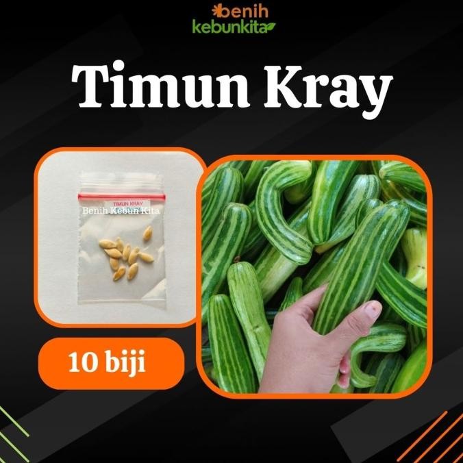 PREMIUM Bibit Tanaman Buah TImun Krai Mentimun Kray