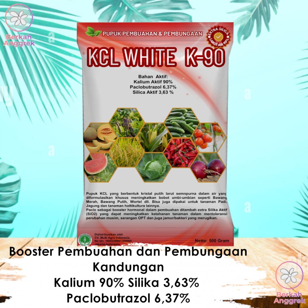 Pupuk Kalium KCL White K90 500 Gram plus Silika dan Paclobutrazol untuk Pembuahan