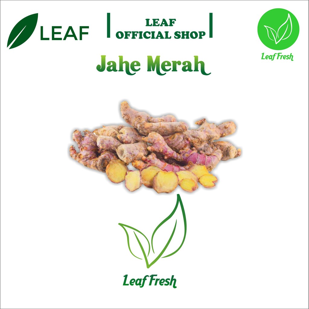 

JAHE MERAH FRESH BY LEAF FRESH