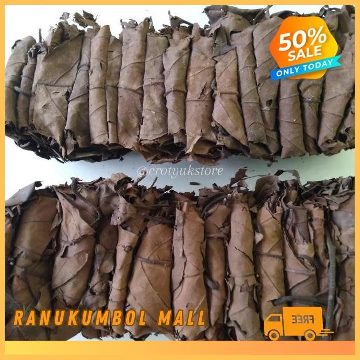 

1KG DAUN TRAWAS KERING RANU KUMBOL MALL PRODUK PILIHAN!