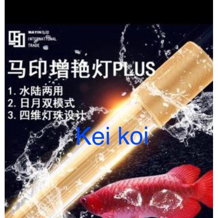 Murah Lampu Led View Plus Mayin 172 Cm Aquarium Ikan Arowana / Arwana