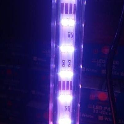 Grosir Lampu Tanning Arwana Led Aquarium Submersible  Yamano Oval 100 120 Cm