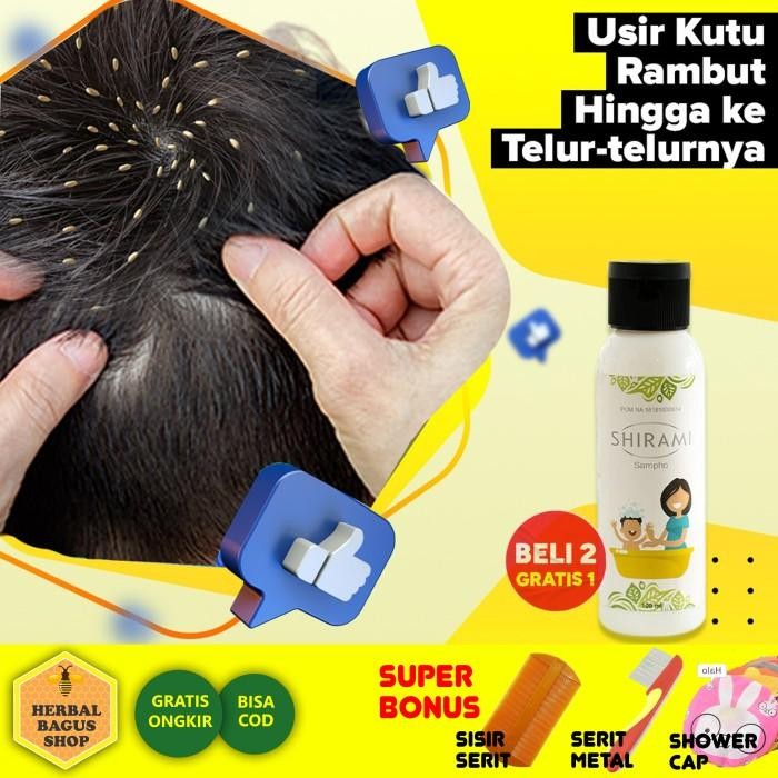 Obat Kutu Rambut Alami Anak dan Dewasa, Shampoo Kutu Rambut Alami BPOM