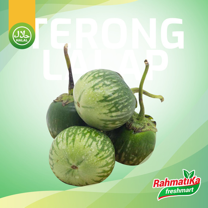

Terong Lalap Hijau Segar / Terong Bulat Hijau Fresh 250 gram