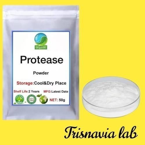 

Enzim Protease 10 gram / Protease Enzyme 10 gram