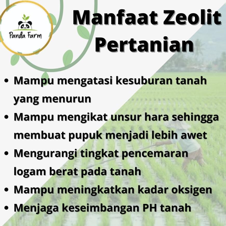 Viral Batu Zeolit Khusus Pertanian 1 Karung no 3 Original