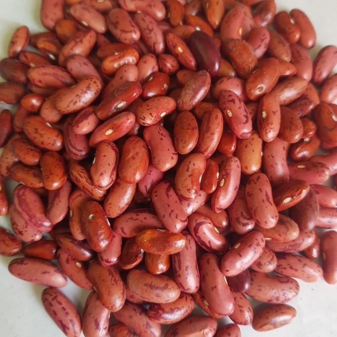

(Good) KACANG MERAH LOKAL SUPER 1 KG