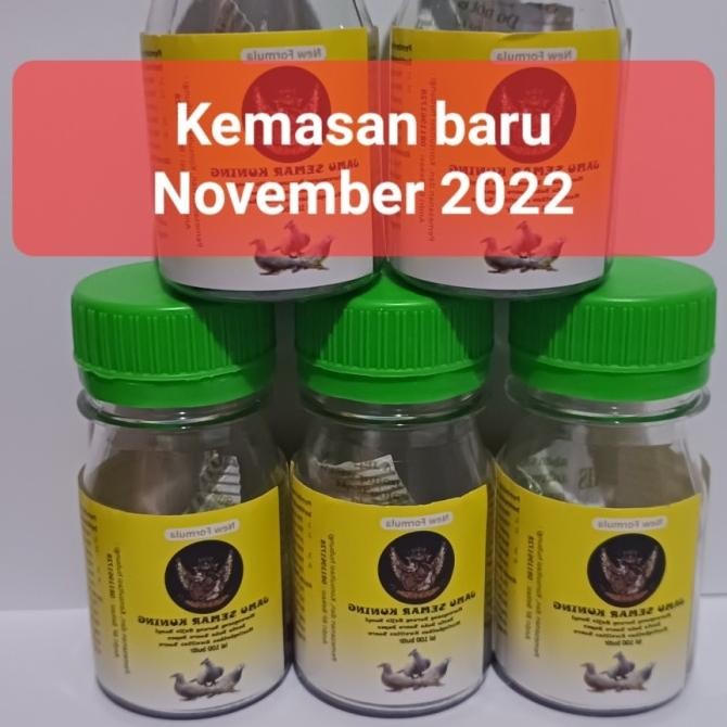 

Jamu Perkutut Semar Kuning