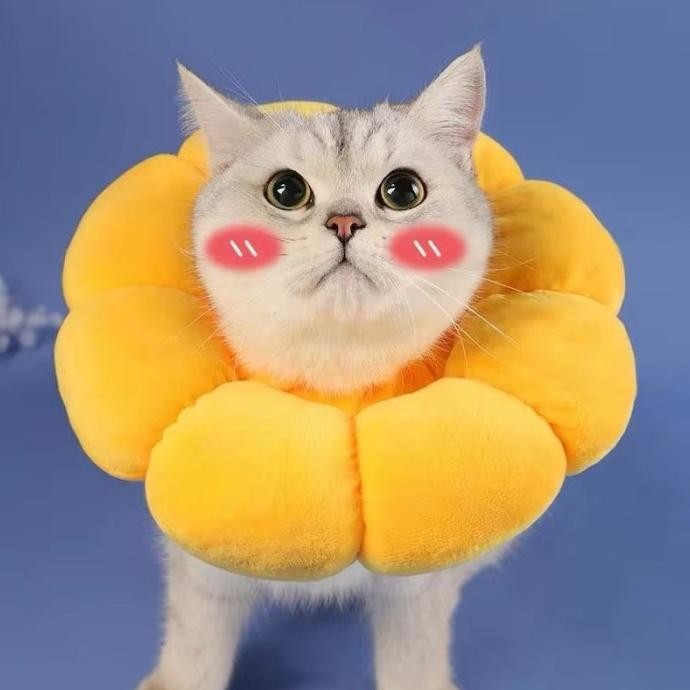 Bantal Hewan Penyangga Bantal Leher Hewan Mainan Hewan Kucing Anjing murah