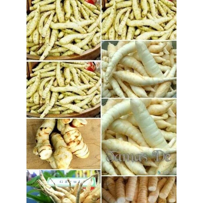 

(Good) Tepung Garut Asli 100 Original Tanpa Campuran Termurah diToped