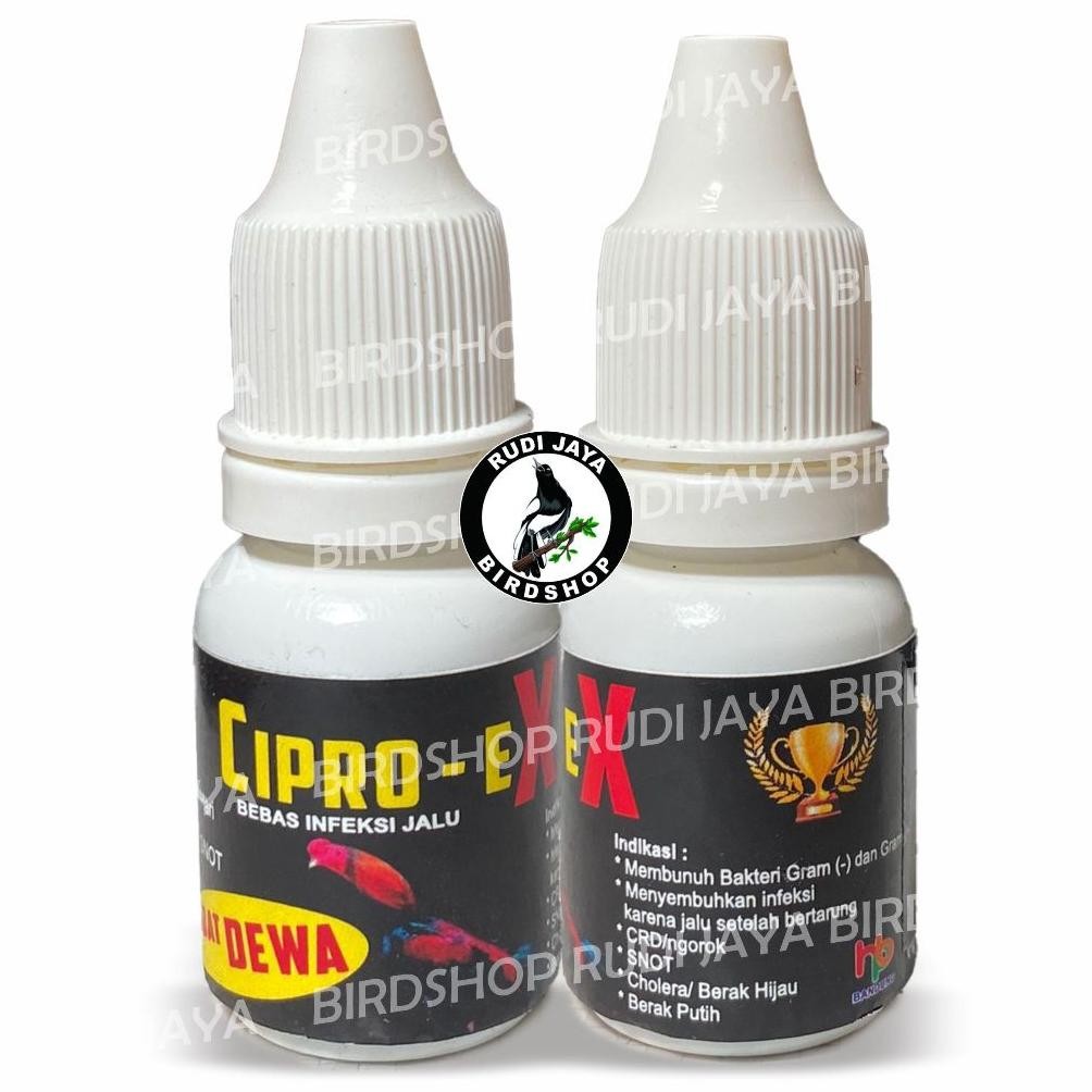 rt-4 CIPRO-EX CIPRO EX CIPROEX OBAT AYAM ADUAN OBAT MUJARAB AMPUH MENGOBATI SEGALA PENYAKIT AYAM ANT