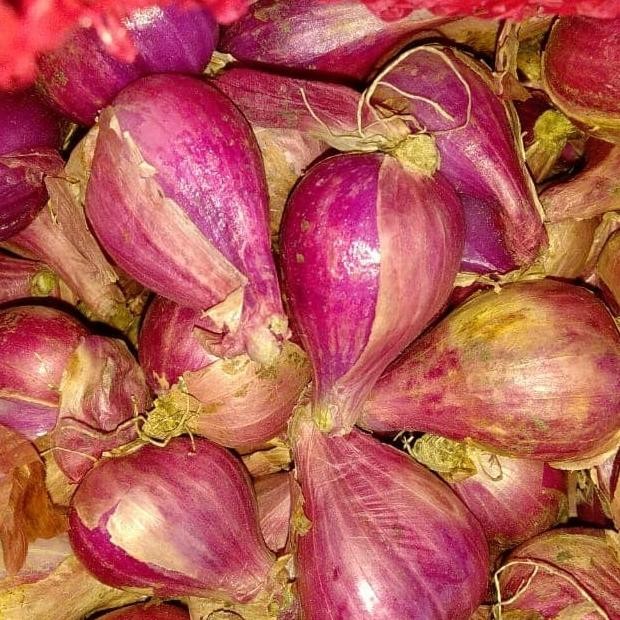 

bawang brebes super 1kg murah