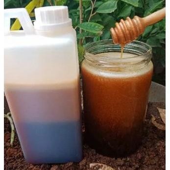 

Madu Asli (madu hutan sialang riau netto 1kg) 100% Madu murni madu murah | madu jakarta madu annisa