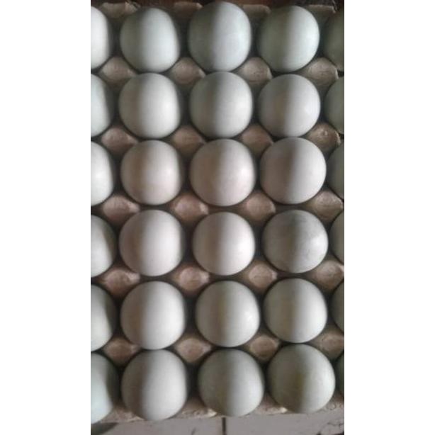 

An85 Telur Asin Matang