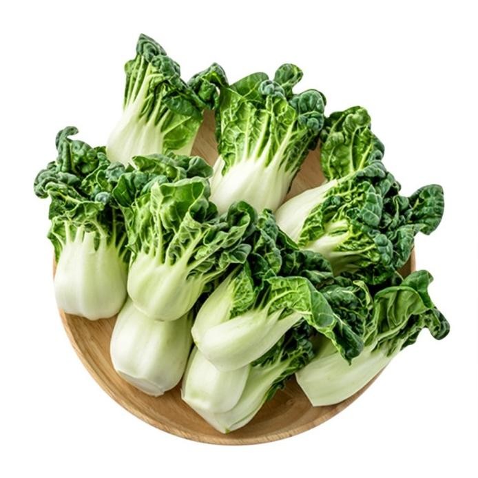 

fresh !!! Benih Bibit Biji - Baby Pak Choy / Pokcoy Mini Sweet & Crunchy murah