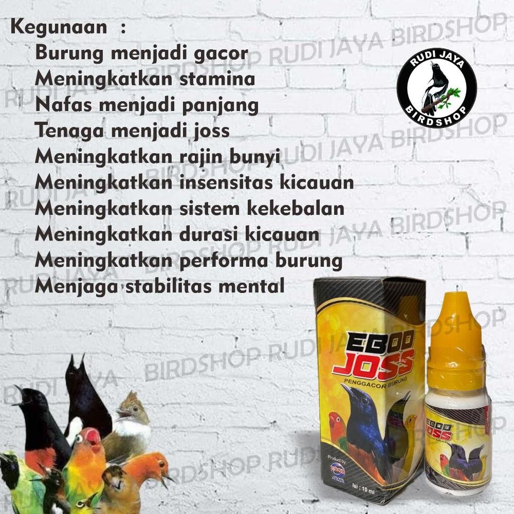 hj-43 CXV-38 Ebod Joss Jos Ebod Jaya Obat Vitamin Burung Tingkatkan Stamina Tenaga Gacor Bunyi Sehat