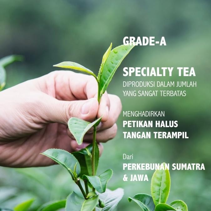

Sale Mountain White Peony | The Grand Cru | Haveltea | Teh Putih | Loose Leaf