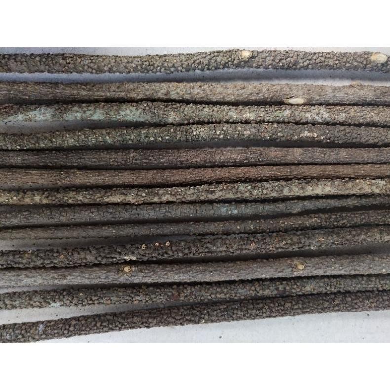 hj-45 d-54 Tangkringan Burung Kayu Asam Asem Bali Kasar Grade A Sangkar Burung Murai Kacer Kenari Pl