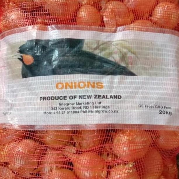 

Bawang Bombay Besar nUg