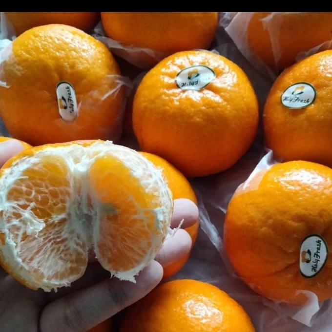 

Jeruk Wokam Mandarin Wokam | Sweet Mature Picking nUg