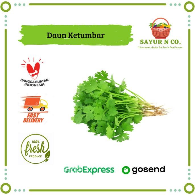 

Daun Ketumbar / Wansui / Corriander Leaves | Sayur N Co Bekasi nUg