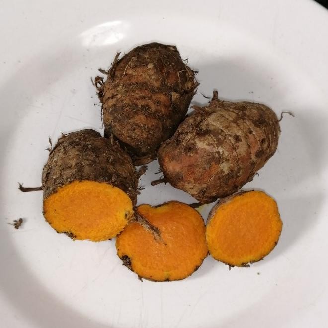 

Promo!!! Biang Kunyit/Induk Kunyit 1 KG nUg