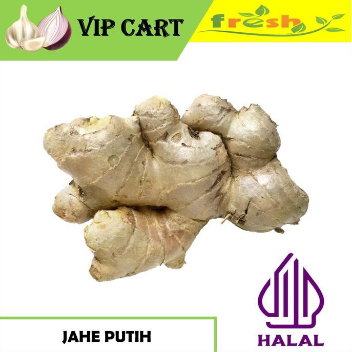 

JAHE PUTIH | KUNYIT | LENGKUAS / LAOS nUg