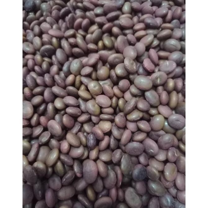 

[[ RASTASTR / BENIH BIBIT BIJI - KACANG CHAMAME (EDAMAME AROMA PANDAN) - 250 GRAM BEST SELLER