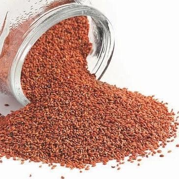 

Murah Garden Cress Seed - Biji Selasih Merah - Obat Sakit Lutut & Diabetes