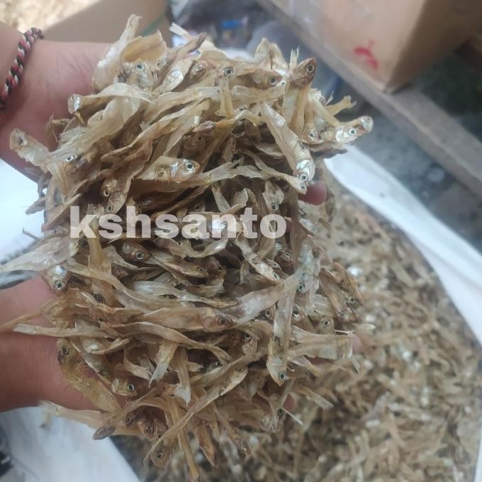 

Grosir Ikan Asin Aneka Jenis Tawar-1Kg
