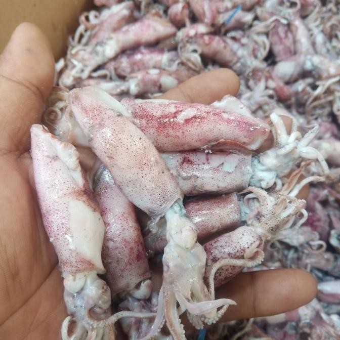 

Murah Cumi Asin 500Gr/Cumi Asin Rebus/Ikan Asin Cumi