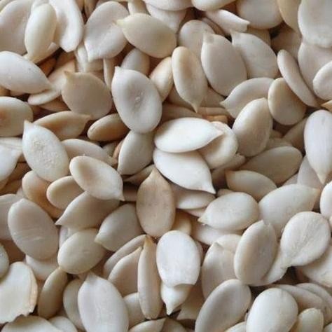 

Grosir 250Gr Melon Seed For Mooncake